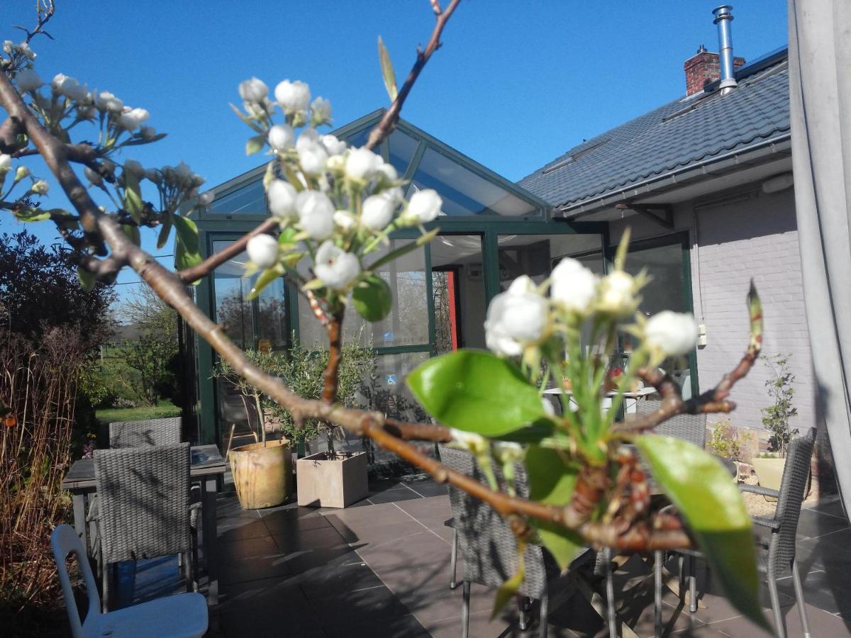 Pluimpapaver Hotel & Glamping 아라쇼트 외부 사진